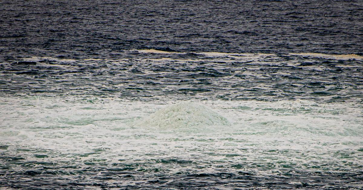 Nord Stream l'Otan a doublé sa présence en mer Baltique et mer du Nord