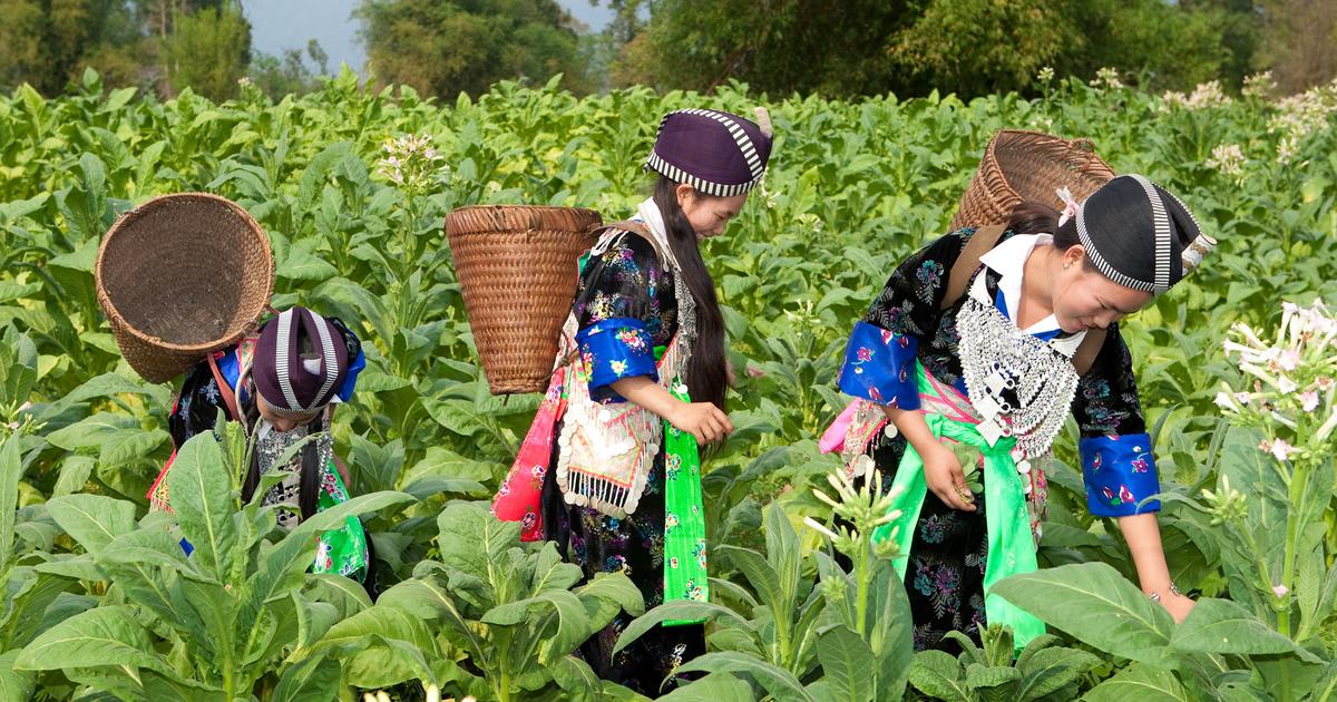 Séjour laos | 12 jours | paysages et ethnies du laos