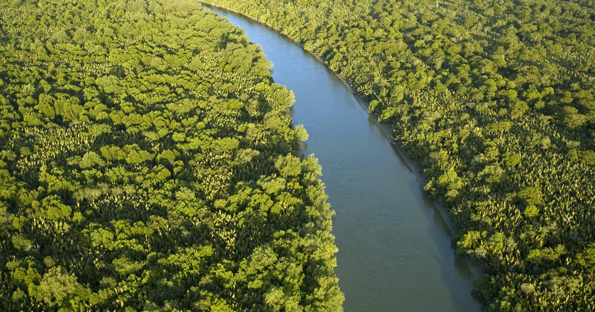 Séjour bornéo | 14 jours | terre d'épices et or vert de bornéo