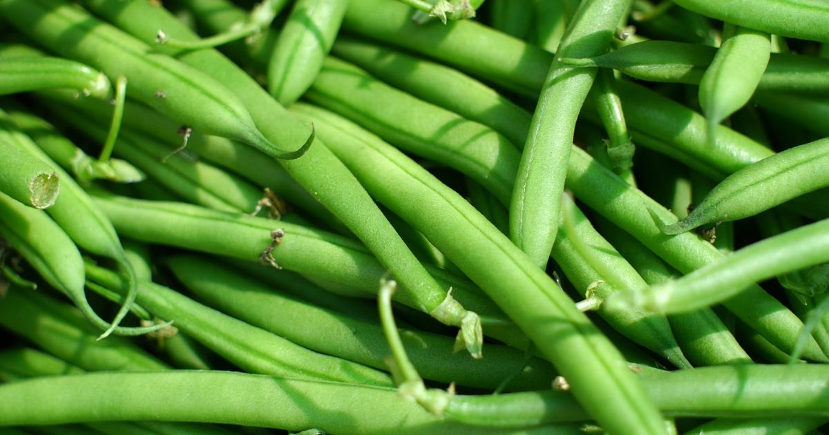 Recall of sachets of green beans with bad taste, containing traces of