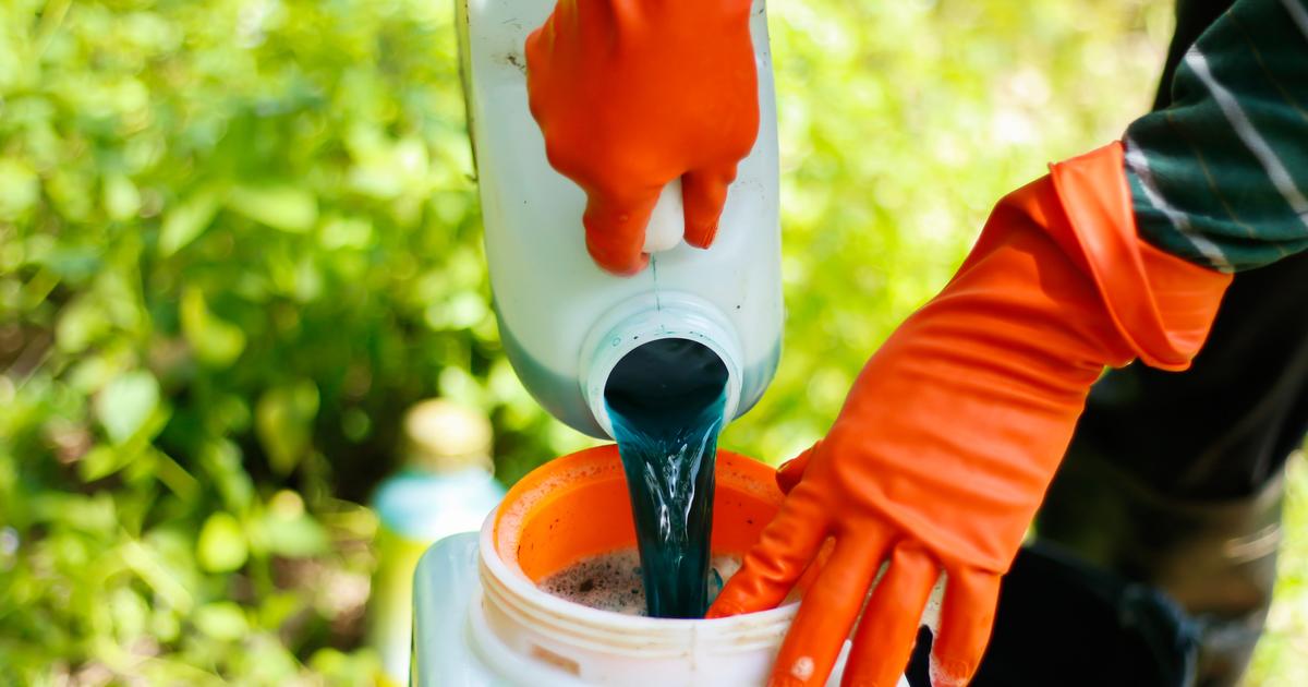 La France «continue d'exporter des pesticides interdits», selon deux ONG