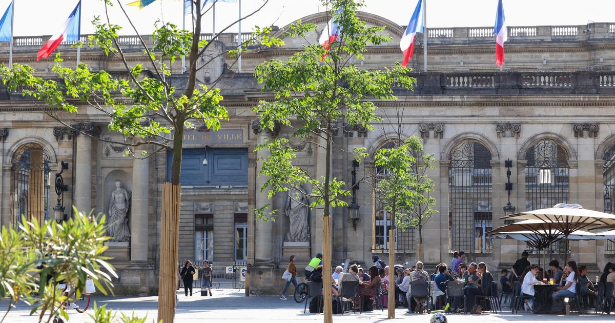 Bordeaux : la mairie écologiste prévoit de planter plus de 13.000 arbres d'ici la fin de l'année 2023