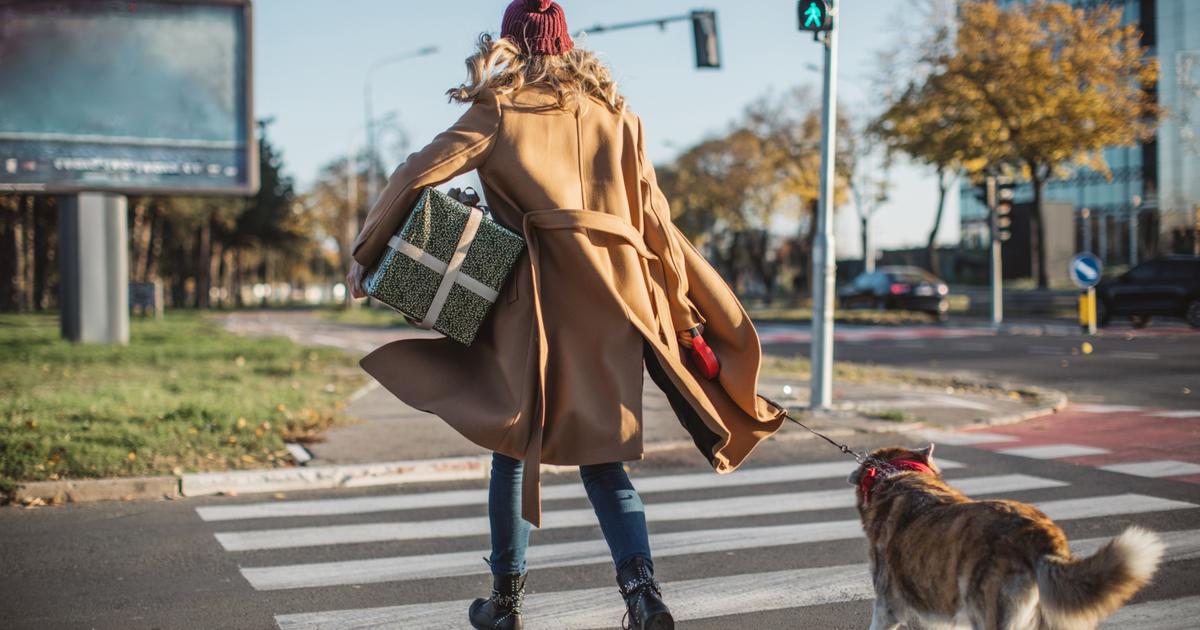Promener son chien, prendre les escaliers… Comment les efforts du quotidien améliorent notre longévité