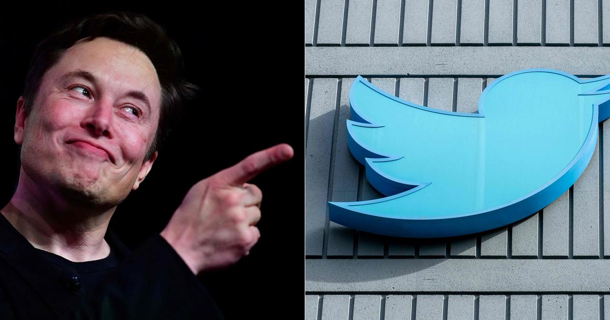 Elon Musk cancellerà 1,5 miliardi di account Twitter inattivi