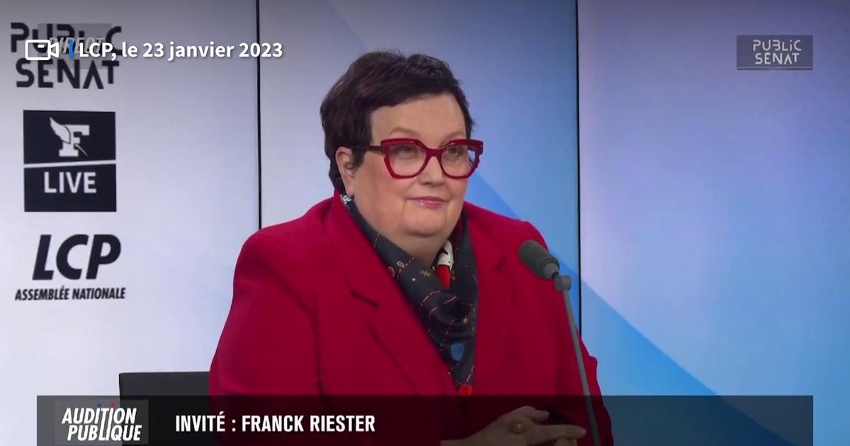 Retraites Le Ministre Franck Riester Admet Que Les Femmes Seront Un Peu P Nalis Es Par La