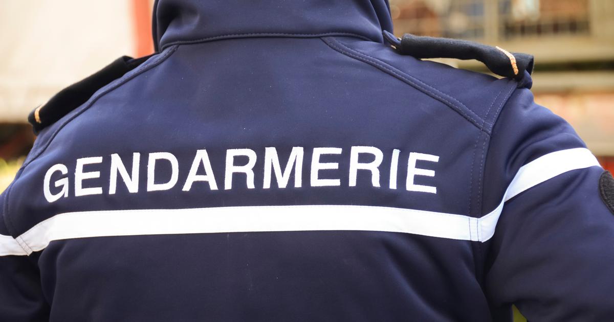 Près de Nantes, un voleur caché dans une haie débusqué par les gendarmes