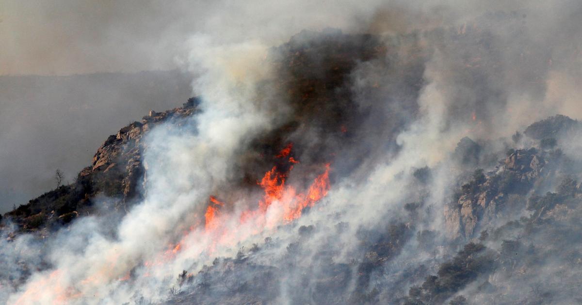 Pourquoi des incendies embrasent le sud de la France en plein cœur de l'hiver