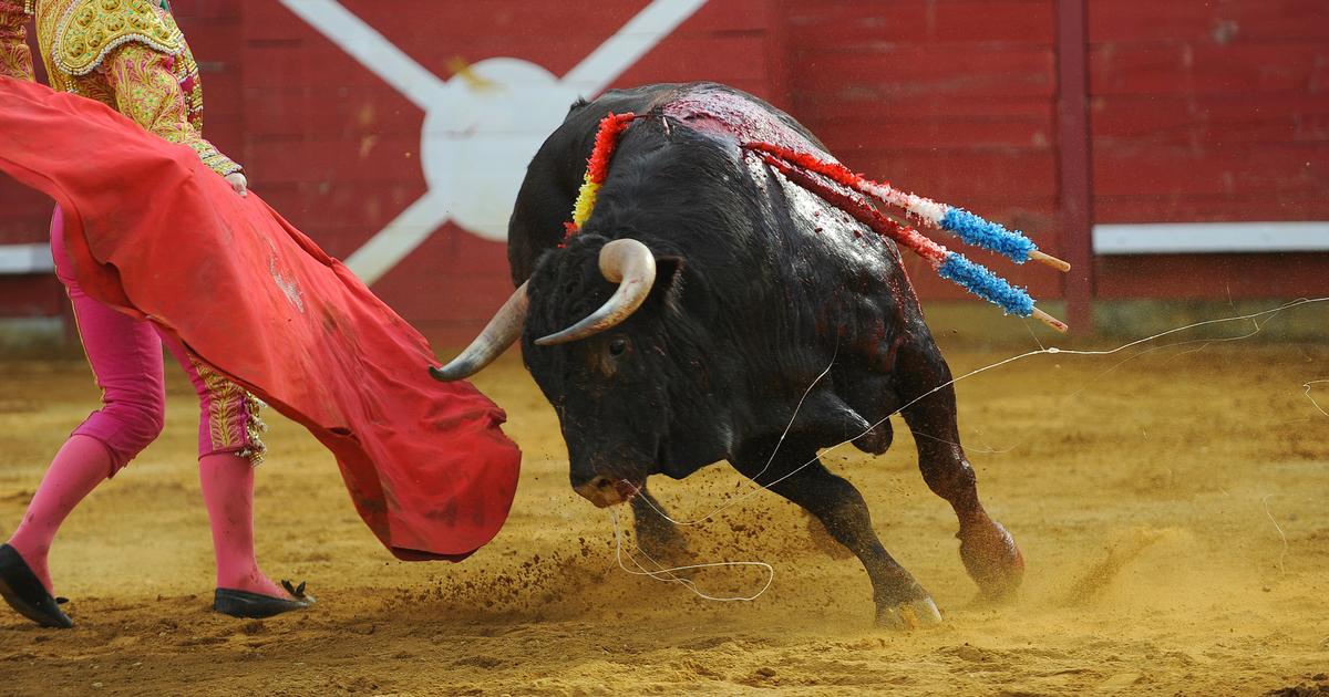 Espagne: le gouvernement contraint d'inclure les corridas dans un chèque culture