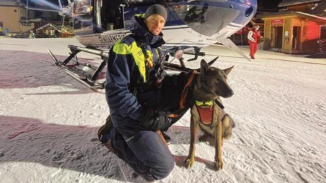 Animals, the new darlings of ski resorts - The Limited Times