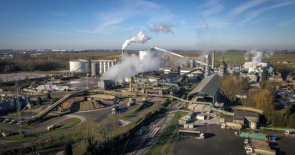 Victim of the beet crisis, sugar producer Tereos closes two factories in France