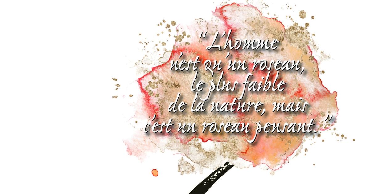 «L'homme n'est qu'un roseau, le plus faible de la nature, mais c'est un