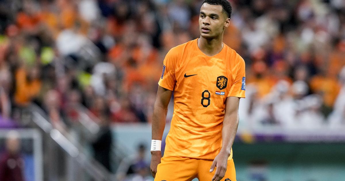 Qualifs Euro 2024: l'équipe des Pays-Bas décimée par un virus, un poulet au curry à l'origine ?