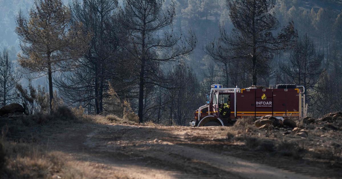 Espagne : premier feu de forêt majeur de la saison, 1500 personnes évacuées