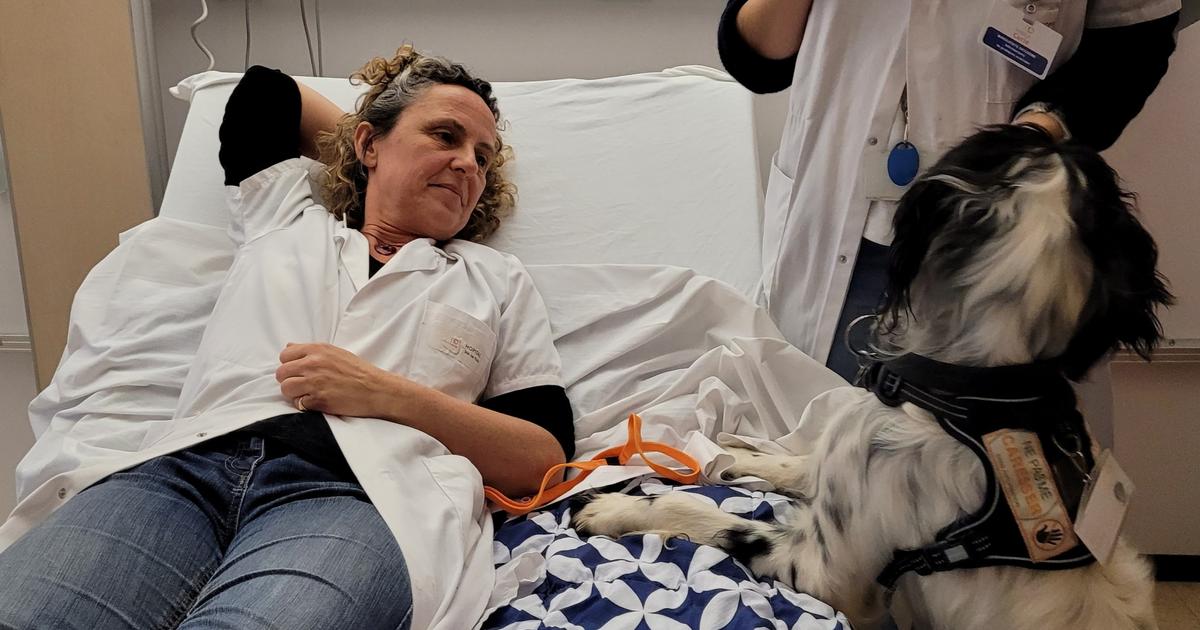 When dogs and cats are welcome in the hospital