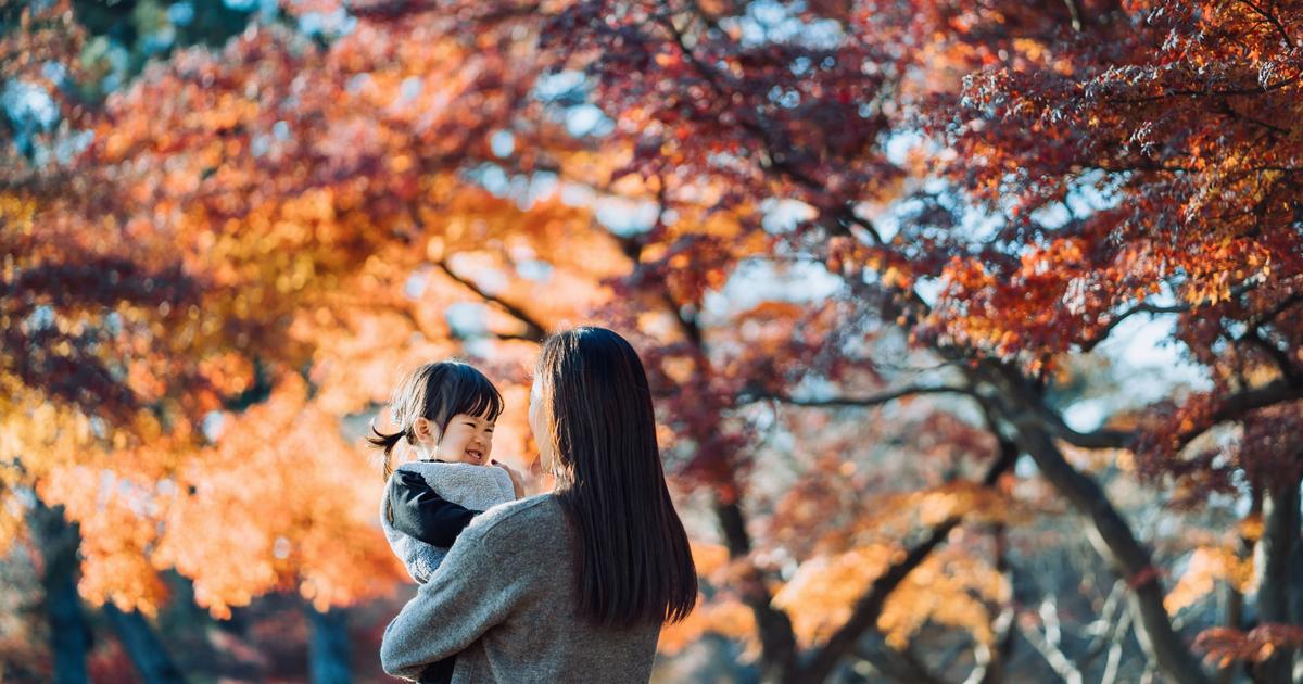 “Don’t blame the women.”  the Japanese are responsible for the decline in the birth rate.