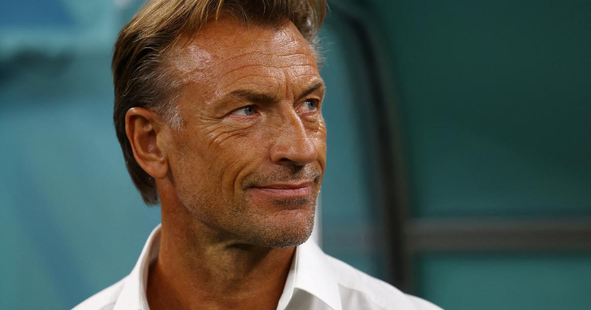 Hervé Renard divided his salary by ten to lead Les Bleues