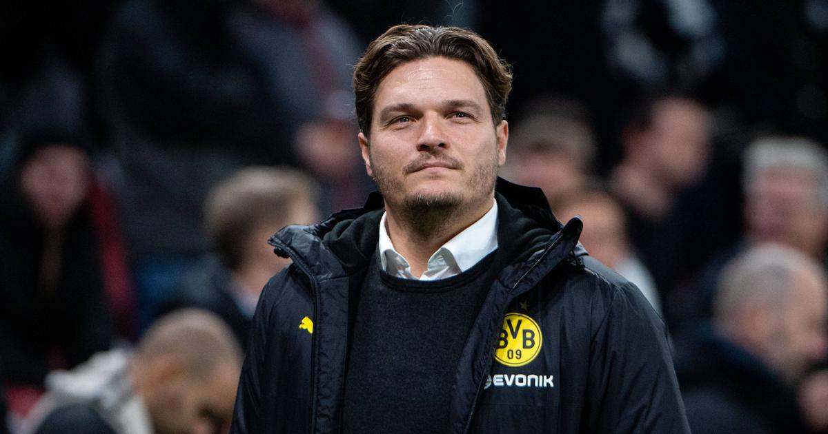 with Edin Terzic, Borussia Dortmund have finally found their ideal coach
