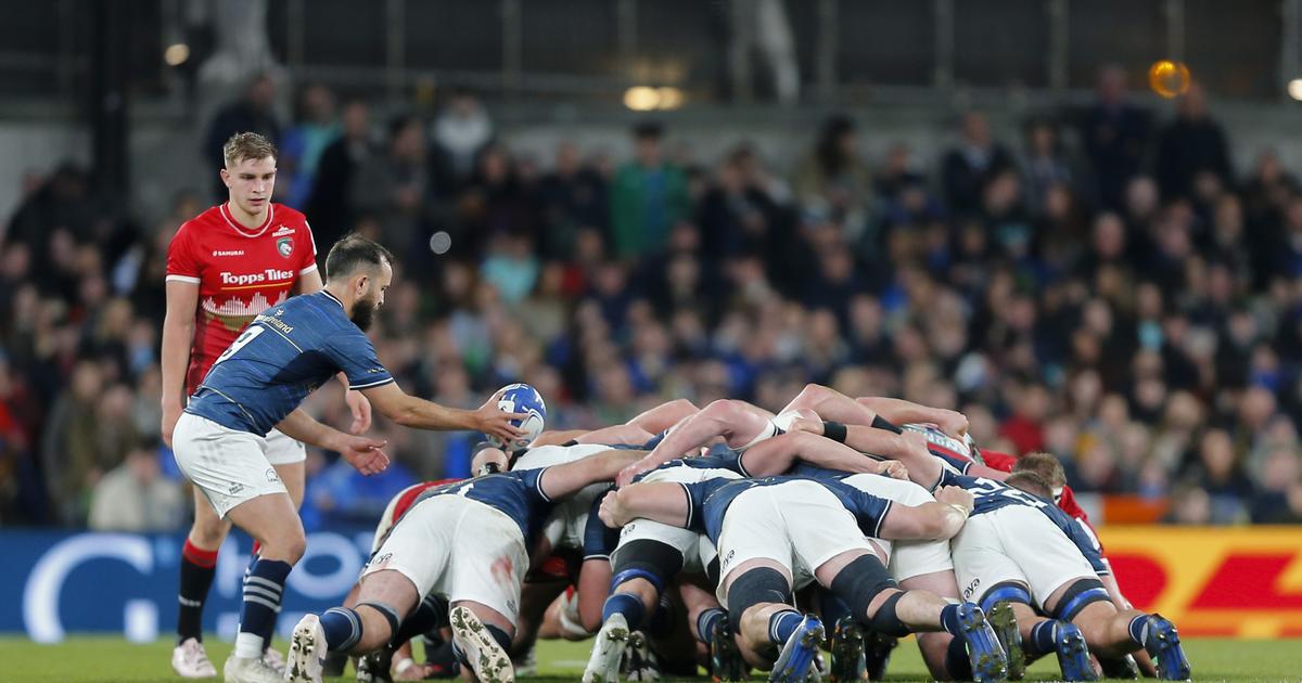 Le Leinster Met Tous Ses Cadres Au Repos Pour Leur D Placement En Afrique Du Sud Crumpe