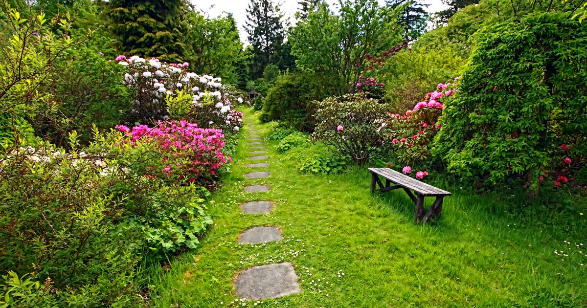 Quelles plantes choisir pour un jardin à l'anglaise
