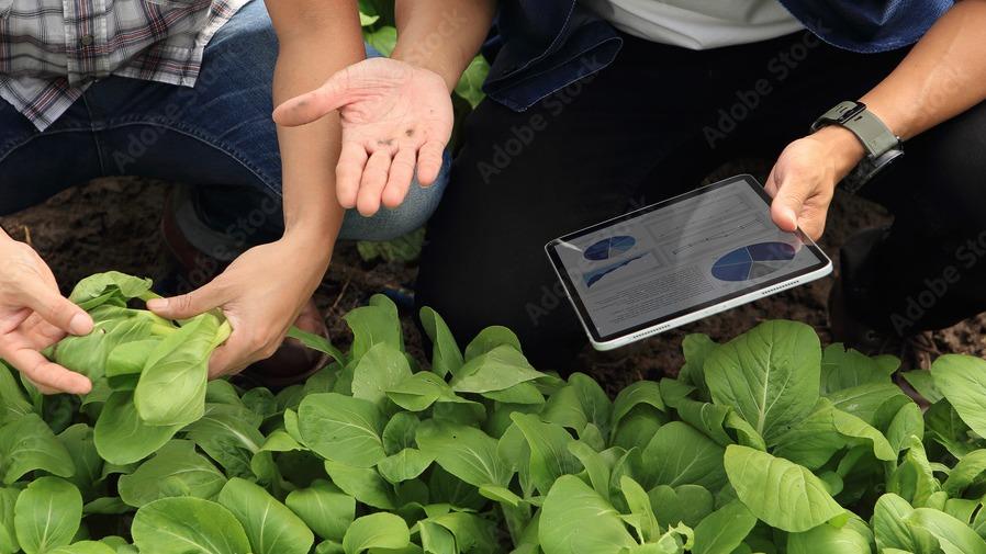 The Engagement Of Agroecology And Digital Technology - Time News