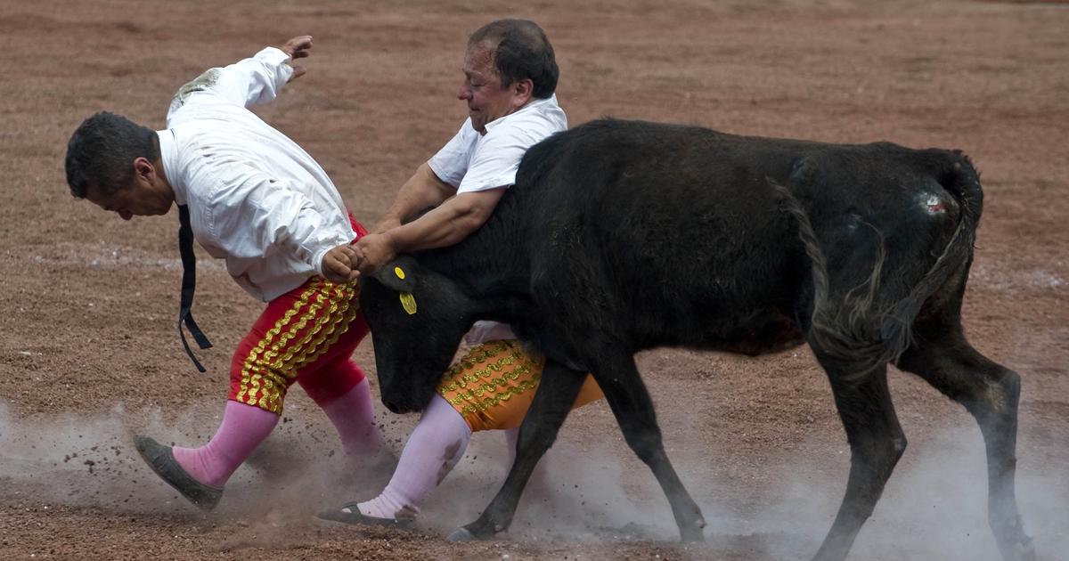 Las corridas de toros de enanos ya están prohibidas en España