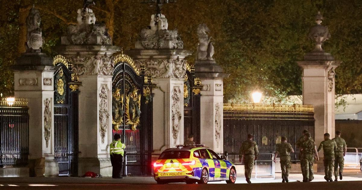 Man arrested near Buckingham Palace has been interned