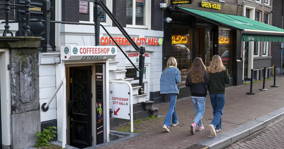 Amsterdam verbietet Cannabiskonsum auf den Straßen des „Rotlichtviertels“