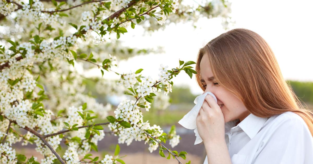 Dust allergy.  81 French divisions were put on red alert