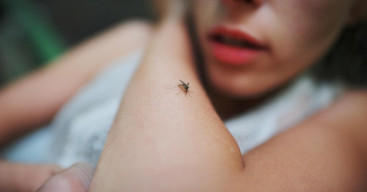 Photo of Un nuevo estudio explica por qué existen las ‘pieles de mosquito’