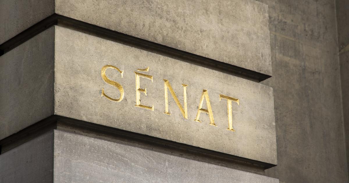 The Senate votes a text to “promote” French entrepreneurs abroad
