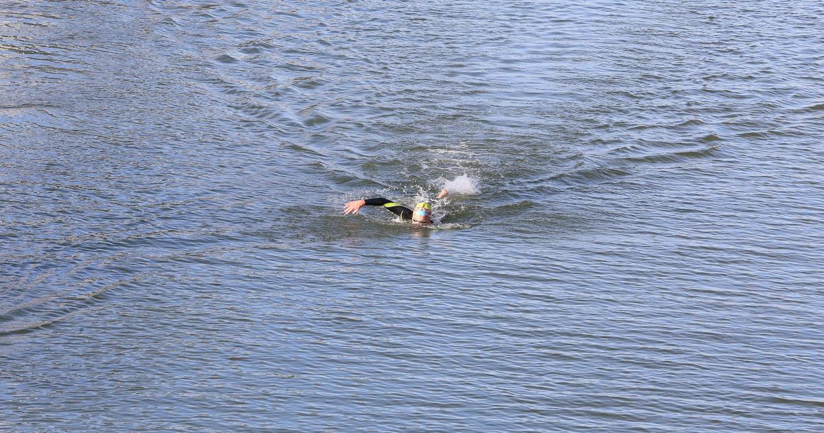 A 'professional Swimmer' Missing During A Crossing Of The English ...