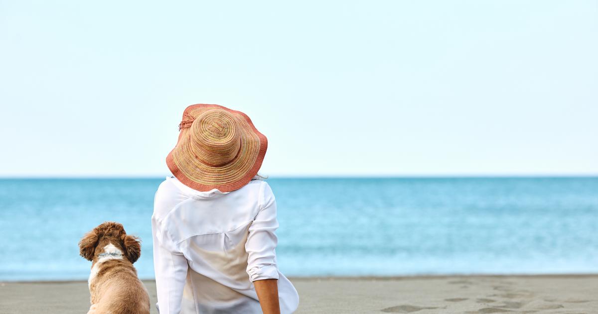 Vacances où peuton emmener son chien à la plage