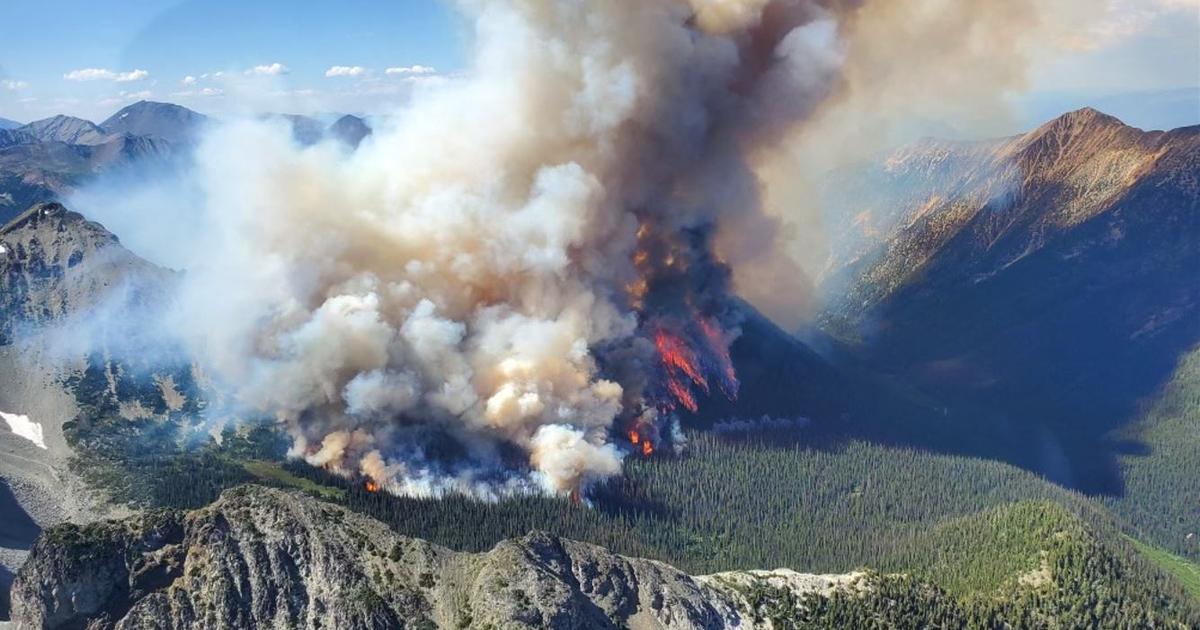 Vast forests, self-sufficiency, difficult access… why Canada’s major fires seem unstoppable this summer