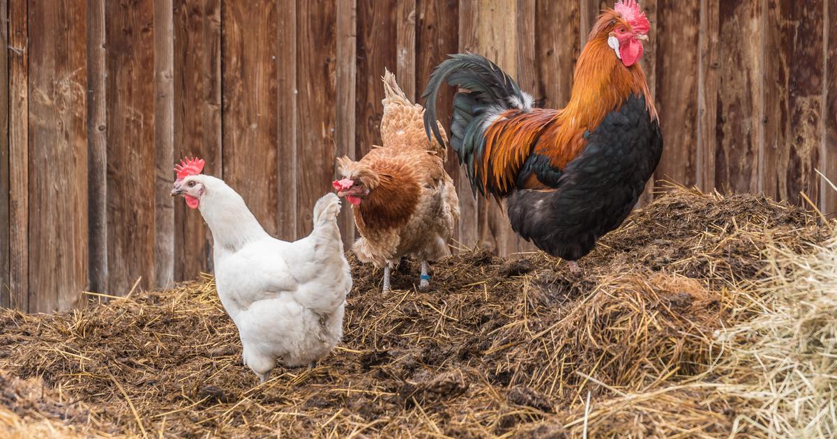 L’usine Bodin de SainteHermine va fermer