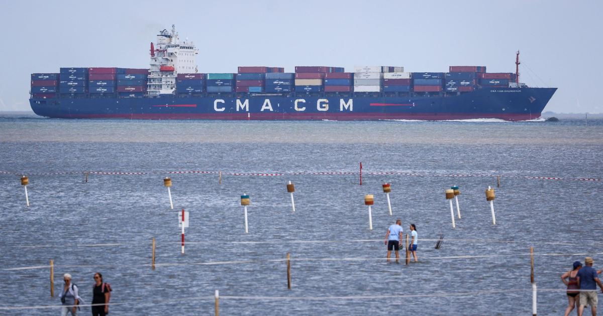 in-one-year-cma-cgm-divides-its-profits-by-five-time-news