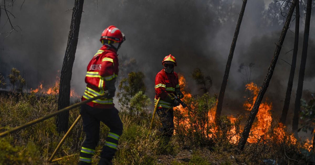 um incêndio florestal destruiu 7.000 hectares no centro do país