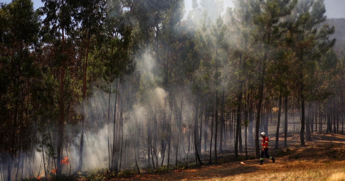 Centenas de bombeiros continuam mobilizados para combater incêndios florestais