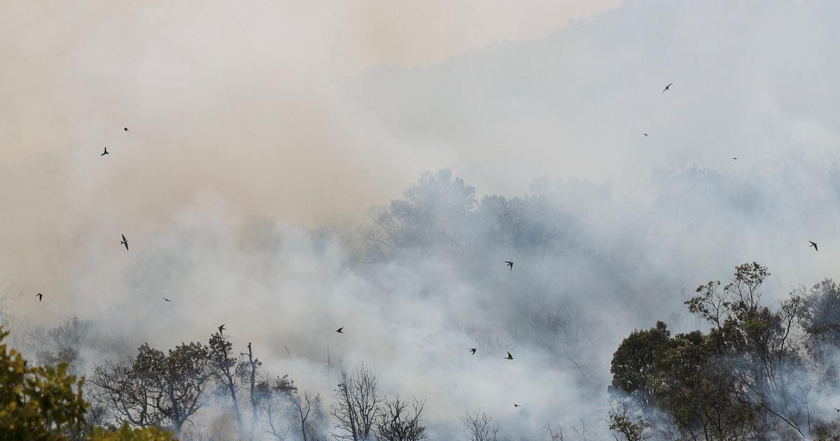 Greece is still in the grip of the ‘biggest fire on record in the European Union’