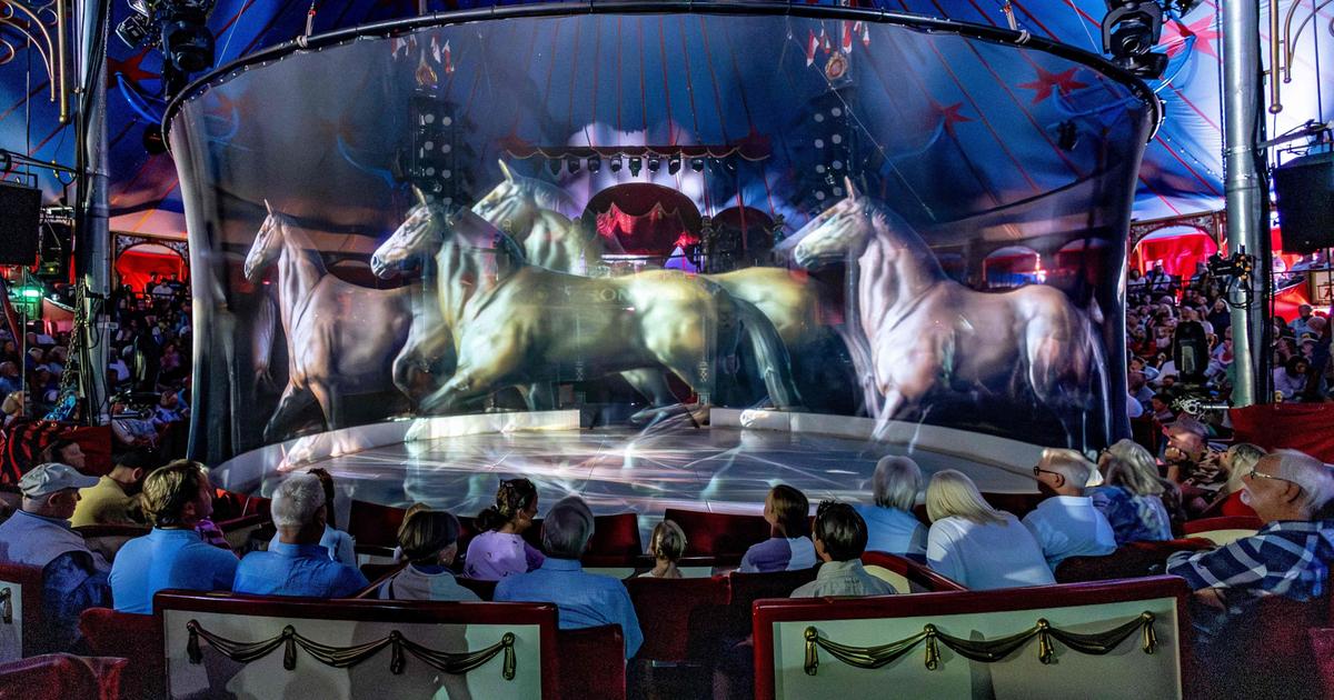 Quand un cirque allemand remplace les animaux par des hologrammes