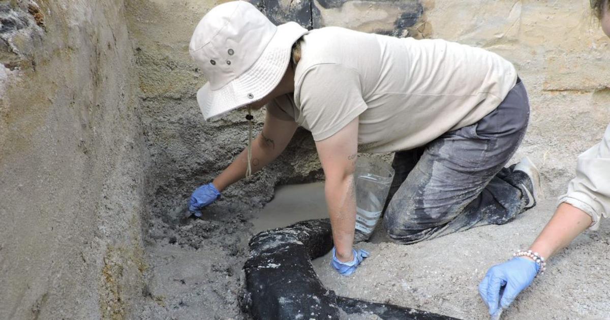 discovery-of-the-oldest-wooden-construction-in-the-world-timenews