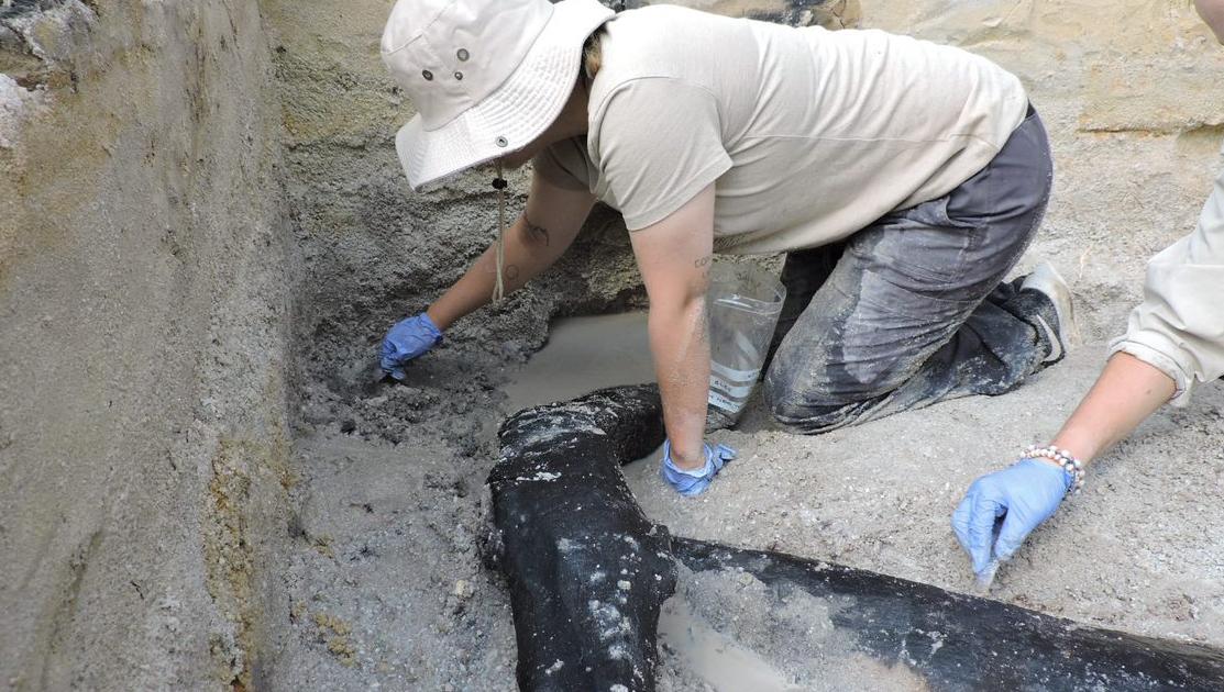 Half-million-year-old wooden structure discovered in Africa