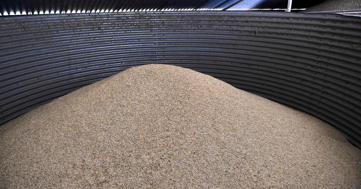 I coltivatori di grano francesi chiedono una revisione delle regole del commercio internazionale