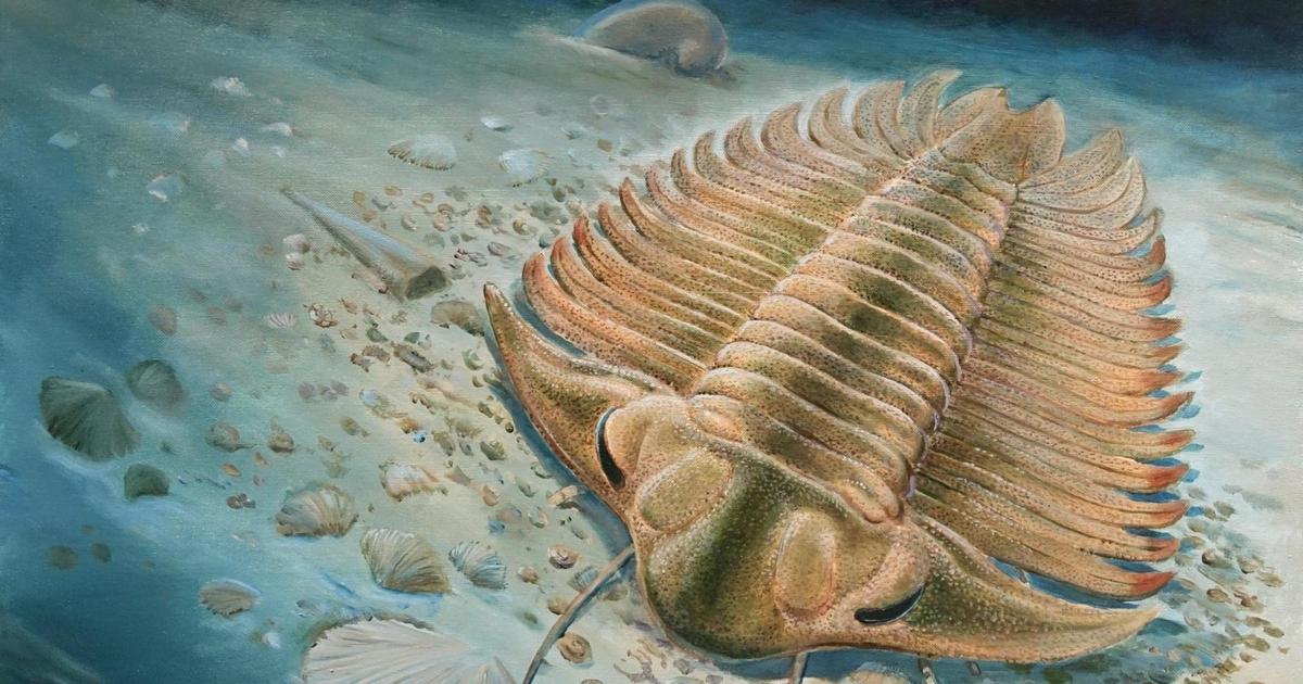 465-million-year-old meal found in fossil’s stomach
