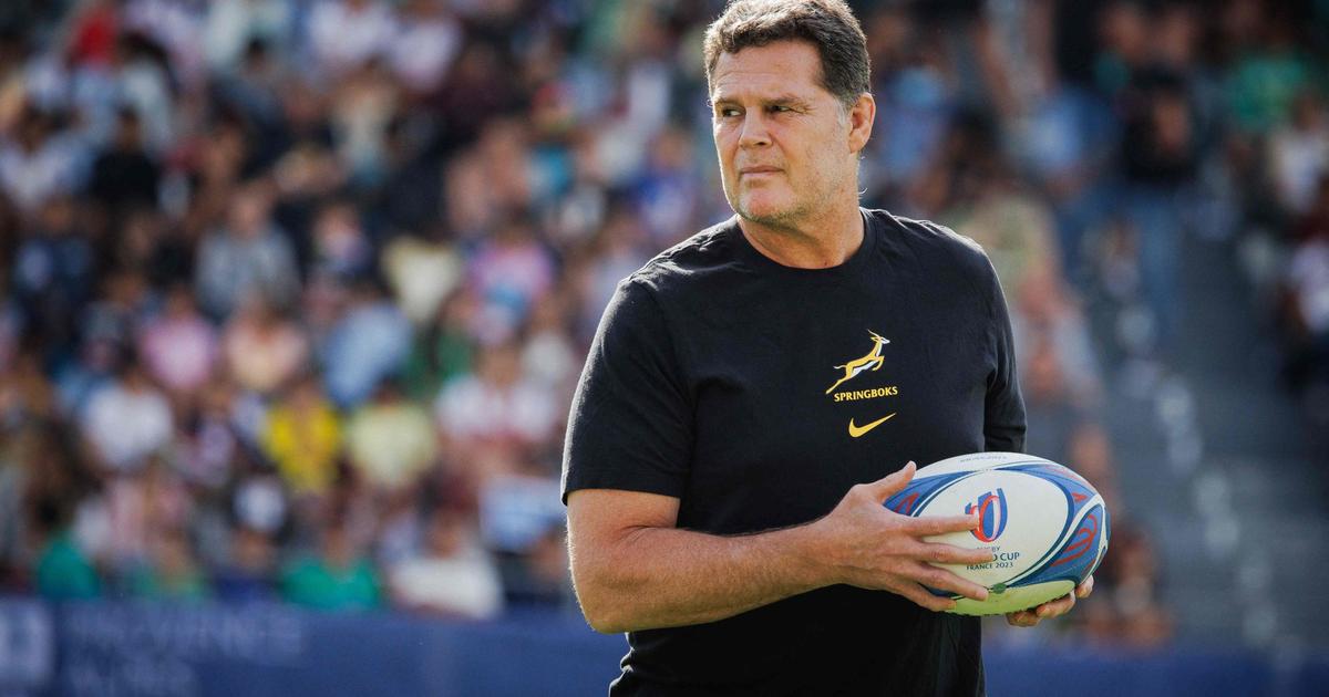 Coupe du monde de rugby : «je préfère notre position à celle de l’Irlande» affirme Rassie Erasmus