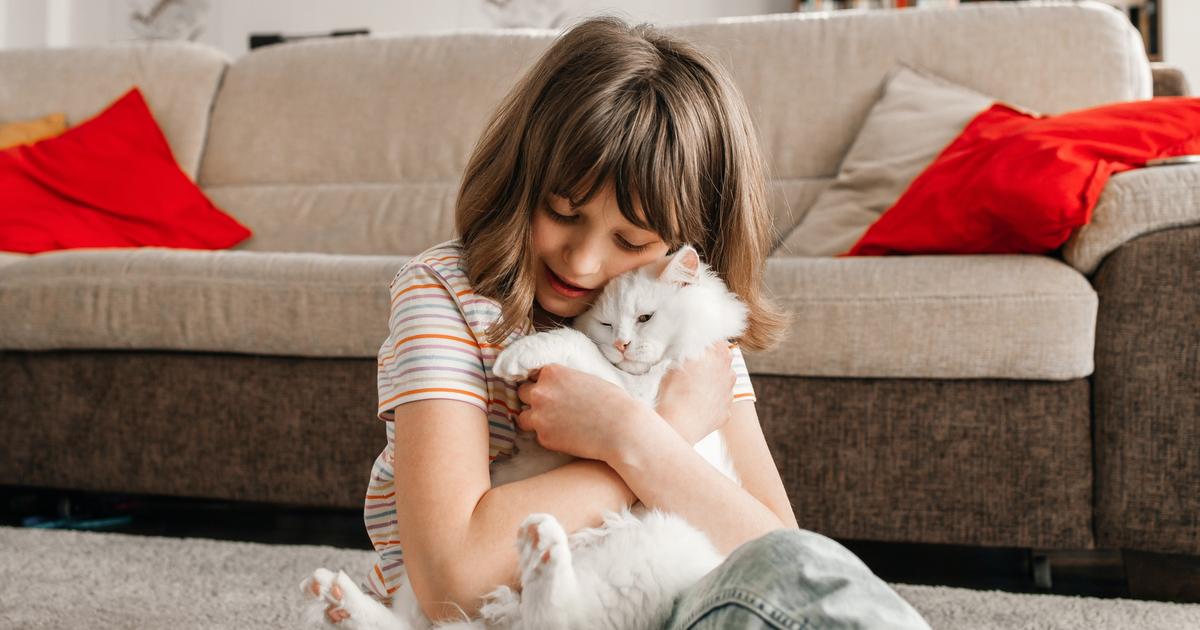 Année des V, W, X, Y ou Z comment appeler son chat en 2024