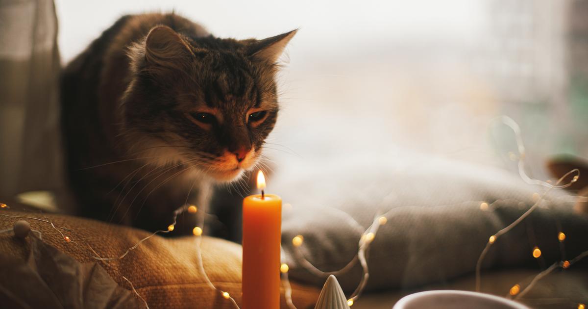 Les bougies d'intérieur sont-elles toxiques ? - France Assos Santé