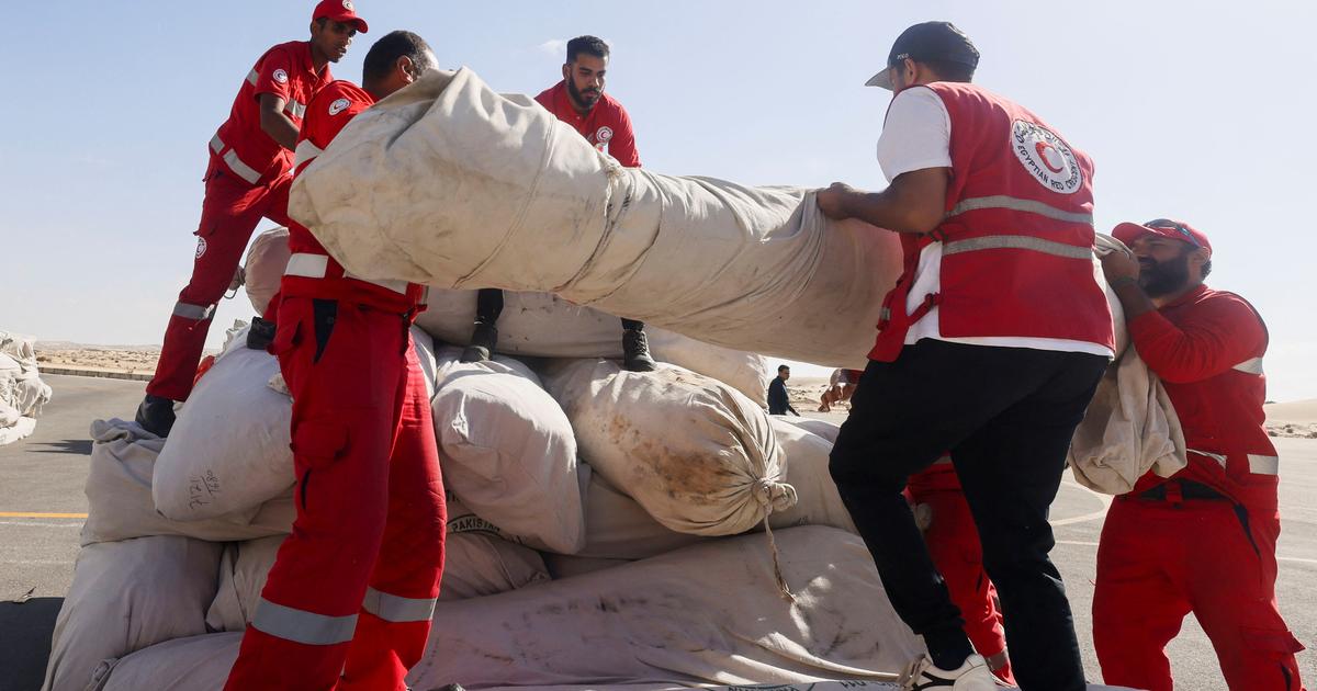Conflit Israël-Hamas : convoi, couloir, pause humanitaire... Comment s’organise l’aide aux civils en temps de guerre ?