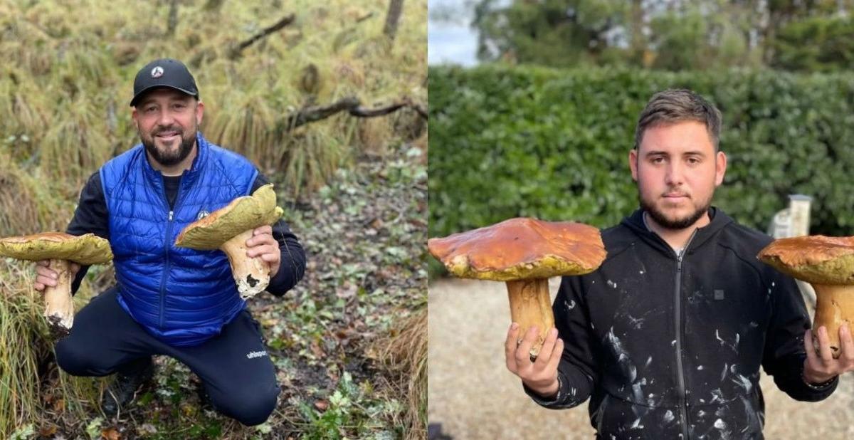 Le Sud : une région de champignons - Région Sud - Provence-Alpes-Côte-d'Azur