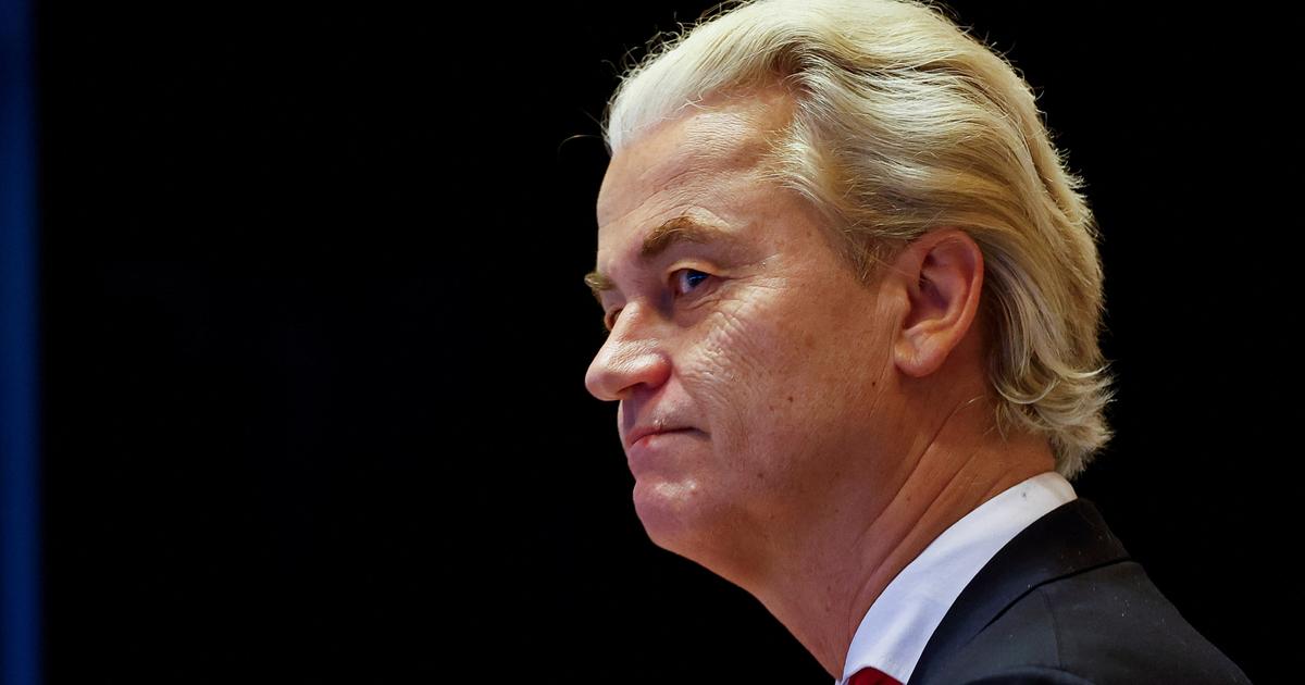 Geert Wilders, Javier Milei, Donald Trump : chez les populistes, des coiffures qui en disent long