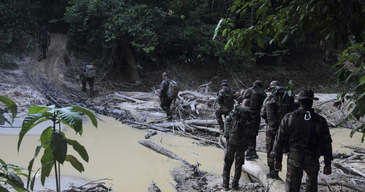 Guyane : un militaire français blessé par balles